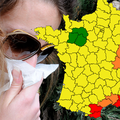 Allergies au pollen de cyprès : le sud de la France en alerte   -   MIDI LIBRE