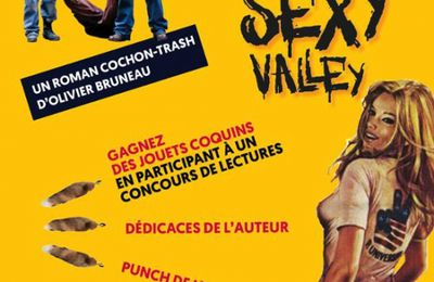 LIVRE : Dirty Sexy Valley d'Olivier Bruneau - 2017