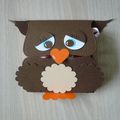 Mini-albums Hibou 