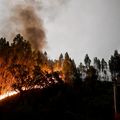 Portugal : Une unité d'élite pour combattre les flammes en première ligne