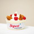 YOGURT FACTORY ... L'adresse secrète des Gourmands