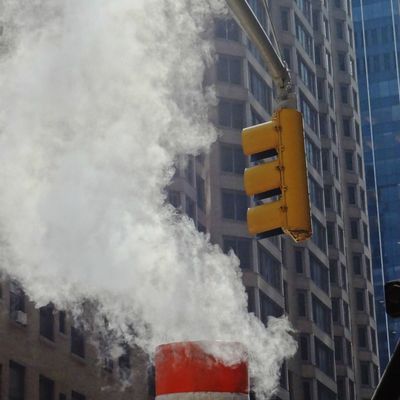 New York New York