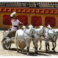 Le Puy du Fou, la course de chars 2