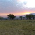 La Tanzanie : en route vers le parc national du Tarangire