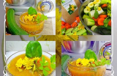 Vidéo + recette  d'un potage de légumes aux fleurs et poudre de racines de pissenlits au blender