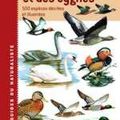 Guide des canards, des oies et des cygnes de S. Madge