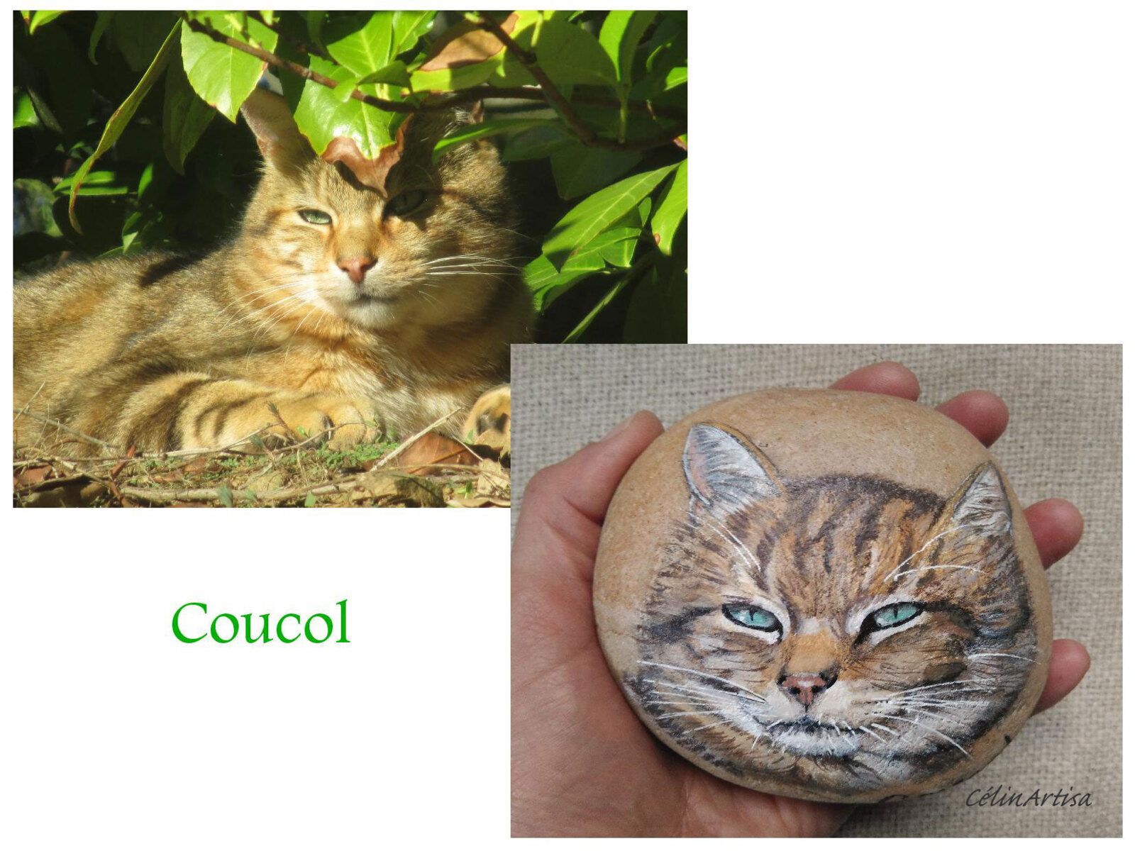 galet peint portrait chat