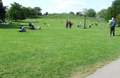 Primrose Hill