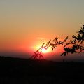 coucher de soleil sur Carpentras