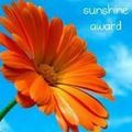 Sunshine Awards : la suite !