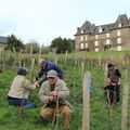 taille de la vigne et relance de la fête des Sens - Avranches - samedi 23 mars 2013