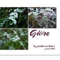 Le jardin en hiver: givre