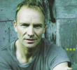 Sting : ses meilleurs sons disponibles sur Playup