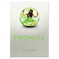 Promise, Ally Condie