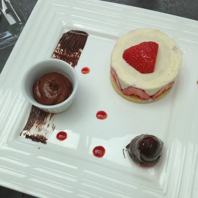 petite présentation de mon fraisier individuel