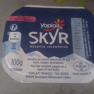 SKYR Yoplait