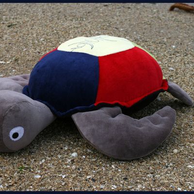 [Peluche] Quand les tortues de Kanaky migrent en Bretagne...