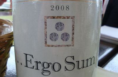 ... ergo sum 2008 shiraz (australie)