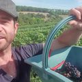 Il partage son quotidien de vigneron sur Youtube