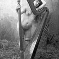 les vintages du samedi : En avant la musique "La musique est la langue des émotion" c'est pas con, car con reste un con.