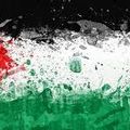 Si le drapeau palestinien pouvait parler, que dirait-il?