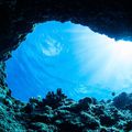La plus grande grotte sous-marine du monde découverte au Mexique