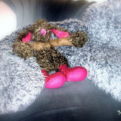 Mon boudin à poil...