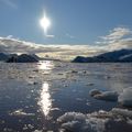 Le Spitzberg à la voile au milieu des glaces, des morses et des ours