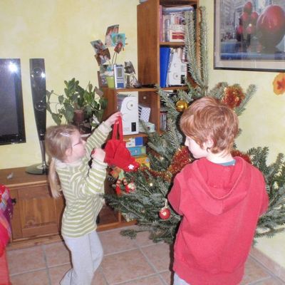 Le sapin