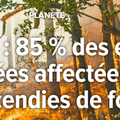 Incendies en Amazonie