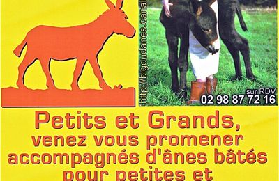 Randonnées avec des ânes en Finistère - Bienvenue à Kerbenoc'h