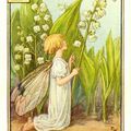 Lily of the valley - Bon 1er mai