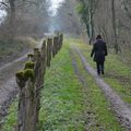 Sur le chemin du Tacot à Bonnay