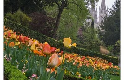 Jardin de ville