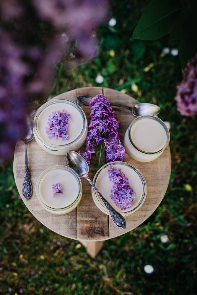 panna cotta, lilas, infusion, facile, recette printemps, crème, laitages, dessert floral, petites crèmes dessert