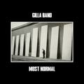 "Most Normal" de Gilla Band : tout sauf normal...