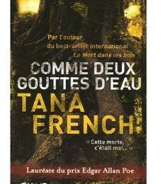 ~ Comme deux gouttes d'eau, Tana French