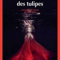 La valse des tulipes, polar basque d'Ibon Martin