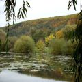 ballade d'automne aux étangs d'Acquigny