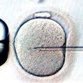 BIOÉTHIQUE : ÉTRANGE SILENCE PARLEMENTAIRE