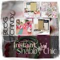 Blog candy chez Instant shabby chic