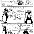 La vrai vie des pingouins - présentation du projet