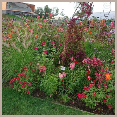 "Fête des jardins" - IGS