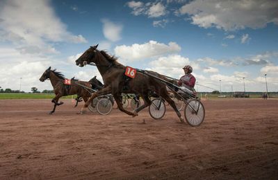 lisieux au trot