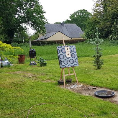 le troglodyte mignon