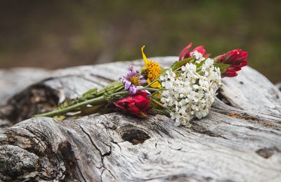 Fin de vie, euthanasie, dignité de l'homme... AMOUR