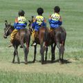 3 petits cavaliers...