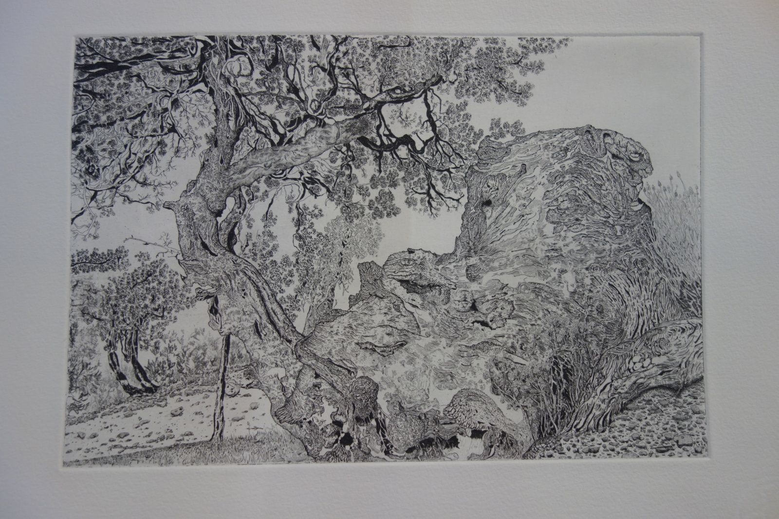 Landry Gicquiaux (1)