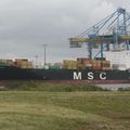 M/V MSC SANTHYA