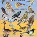 Nouveau livre : "Parmi des milliers d'oiseaux"